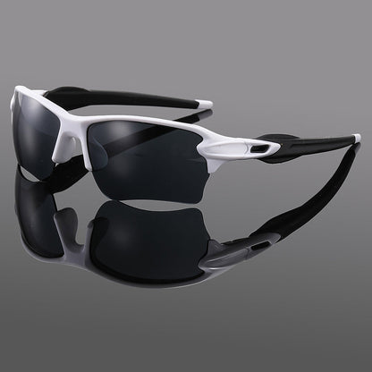 SolarCruise Polarized Shades